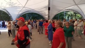 VID_20260815_161158.mp4