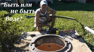 Правильно говорят не лезь пока работает/История одного голубя/