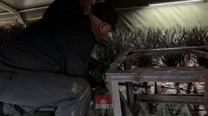 Спецрепортаж WG ️«Железный кулак фронта: танки из моды не выходят»