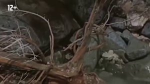 Хор Турецкого   Десантная рота   С Днем ВДВ (720p)
