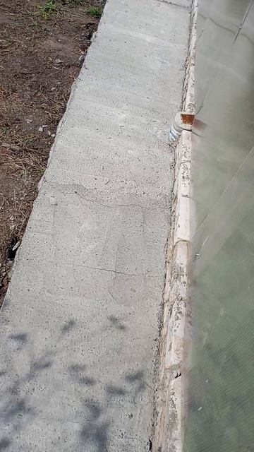 провели дорогу до теплицы