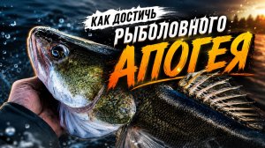 Овальный бланк. Такого вы точно не видели.