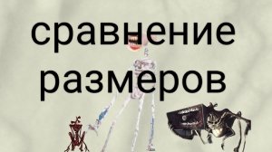 сравнение размеров семейства головых