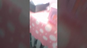 Вечер Мики и мишы