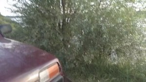 Нива