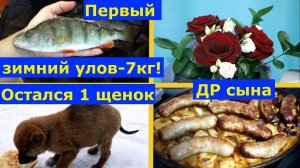 VLOG 10.11.-26.12.2025г. Что подарили Кириллу на ДР? Повесила кормушку. Что готовлю? #видеопро
