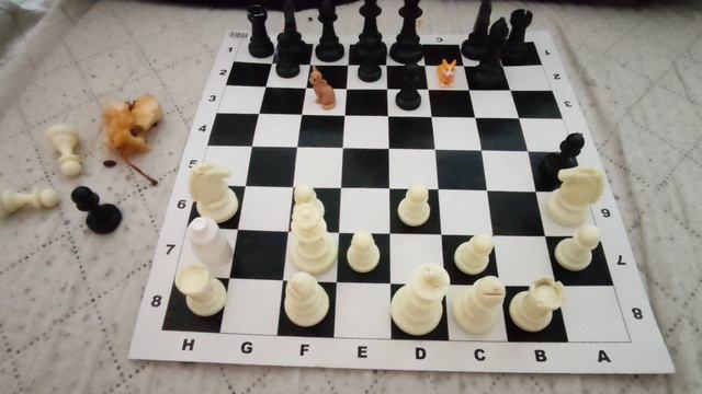 Играю в шахматы оффлайн