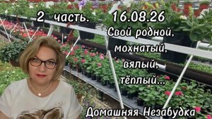 2 часть. Свой родной, мохнатый, вялый, тёплый...