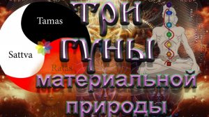 Три Гуны материальной природы. Роберт Адамс, озв. НИКОШО