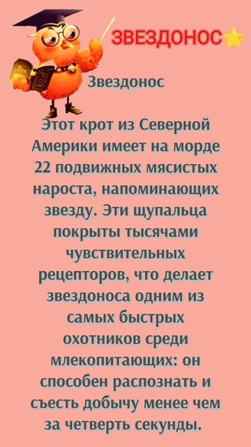 А вы ,знали?
