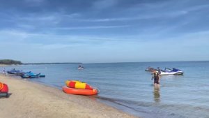 На пляже Балтийского моря и, как отдыхающие портят природу, паркуясь и разбивая палатки в лесополосе
