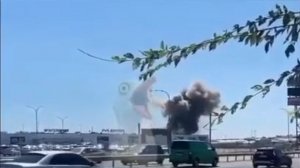 Одесса ,герани прилетают в пункты назначения непрерывно,и уже днём