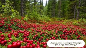 Музыкальные волонтёры - По ягодке (сл. и муз. Тани Клевер) (1)