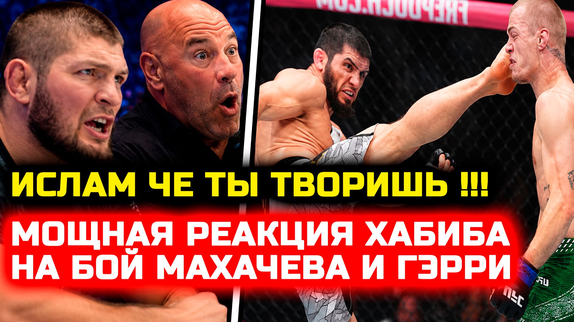 СРОЧНО! МОЩНАЯ РЕАКЦИЯ ХАБИБА НА БОЙ Ислам Махачев Йен Мачадо Гэрри! Хабиб Нурмагомедов юфс 330