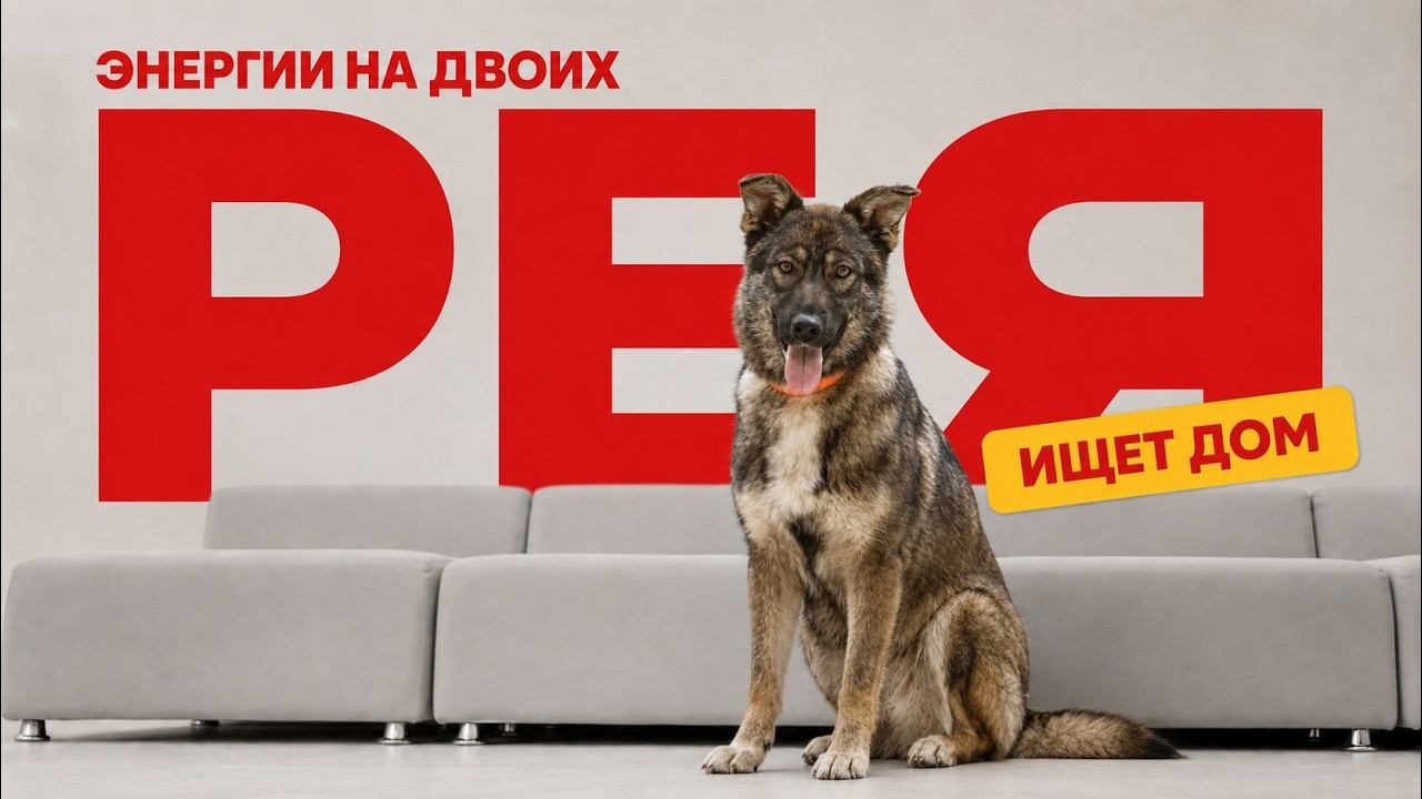 Видеовизитка: Рея