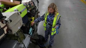 В России отмечается День воздушного флота.
