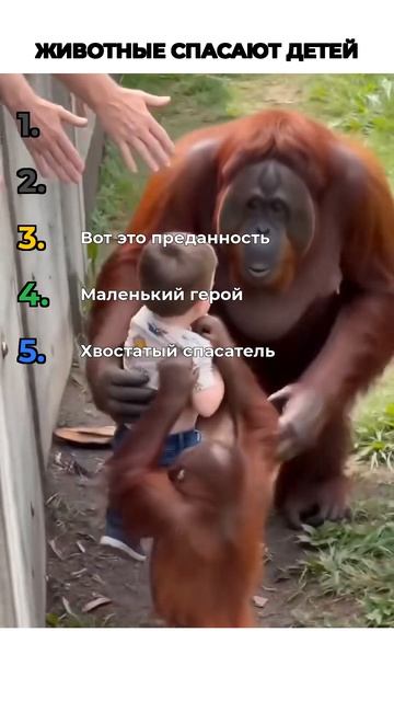 ЖИВОТНЫЕ СПАСАЮТ ДЕТЕЙ