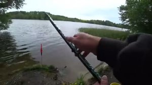 ПОПЛАВОК РУЛИТ!!! ЛОВЛЯ БОЛОНКОЙ  НА ДАЛЬНЕМ ЗАБРОСЕ. РЫБАЛКА НА ВОДОХРАНИЛИЩЕ