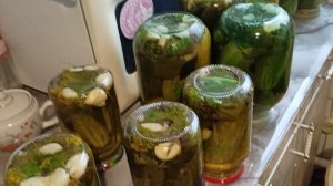 15.08.26 Жизнь на Западном Урале обычной семьи!!!Скоро выходные закончятся😃🏡 плохие огородники😆🌟