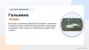 Фамилия Гальвина: происхождение, значение и склонение