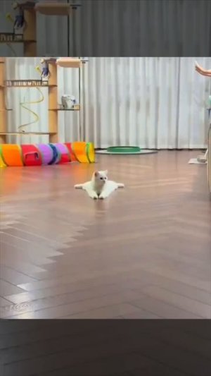 Ну, чем не Волочкова?