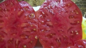 Томатный Гном Большая удача - настоящий РУССКИЙ ПОМИДОР! Крупный, мясистый, вкусный! Дегустация.