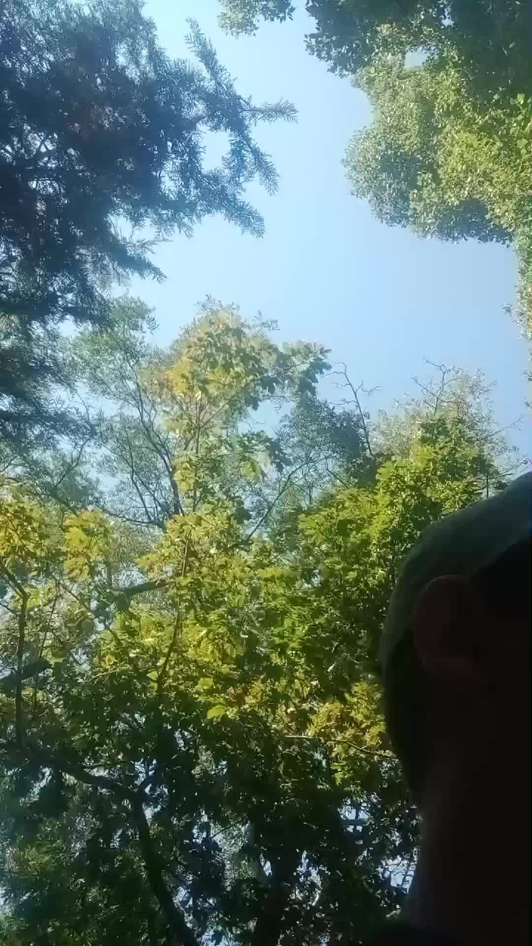 Стучимся в дверь 2 часть