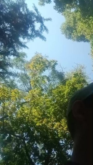 Стучимся в дверь 2 часть