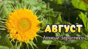 Август в Волжском. Бархатный сезон. Дачные зарисовки🌻
