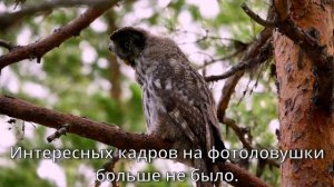 2 ДНЯ ЖИВУ В ИЗБЕ. РЫБАЧУ НА БОЛОТНОМ ОЗЕРЕ С СОБАКОЙ