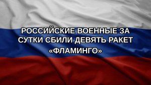 Российские военные за сутки сбили девять ракет «Фламинго»
