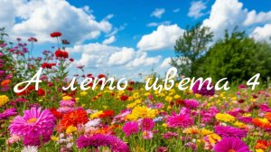 СП «А лето цвета 4» отчет №6
