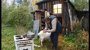 Городок - Модест и козьи шарики (Реклама)