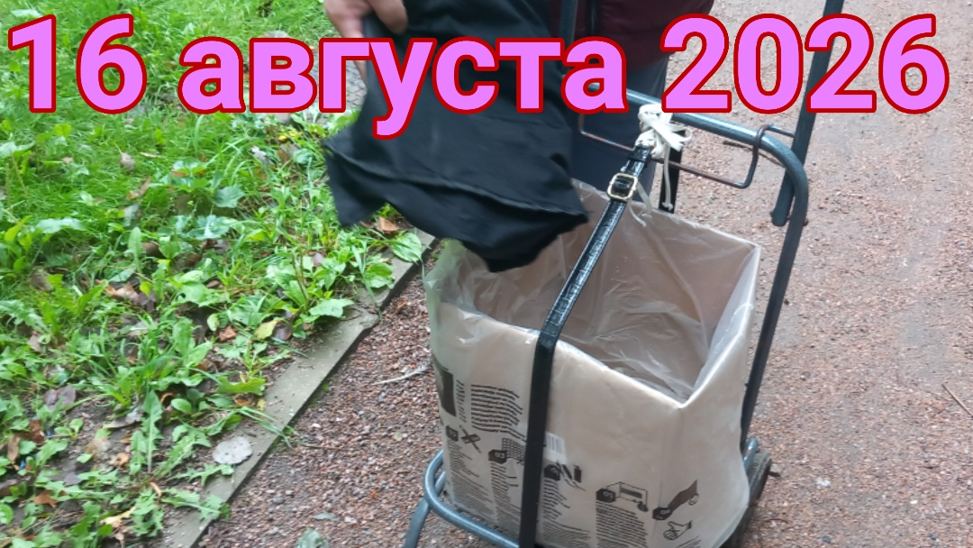 16 августа 2026. Августовская растаможенка.