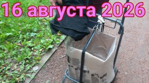 16 августа 2026. Августовская растаможенка.