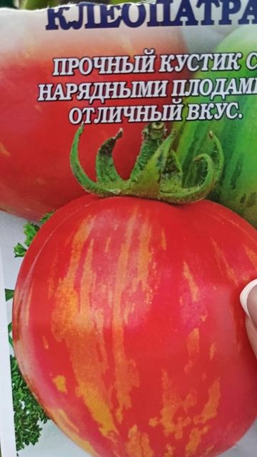 От семечка до урожая🤗