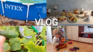 16-08-2026 ДОМАШНИЙ ВЛОГ 🏠 СОБРАЛА ОГУРЦЫ ✔️ СЛИВАЮ ВОДУ  В БАССЕЙНЕ