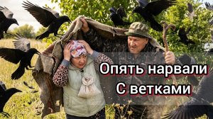 Опять сельчане ищут чтоб дикое и забесплатно
