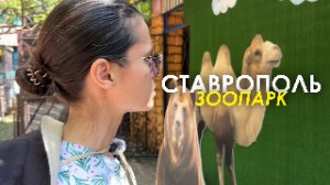 ПОШЛИ КОРМИТЬ ЖИВОТНЫХ в СОЦИАЛЬНЫЙ ДЕНЬ