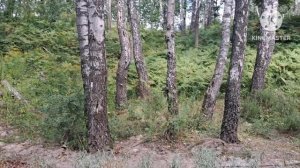 Вышивальная встреча. Брянск, август 2026