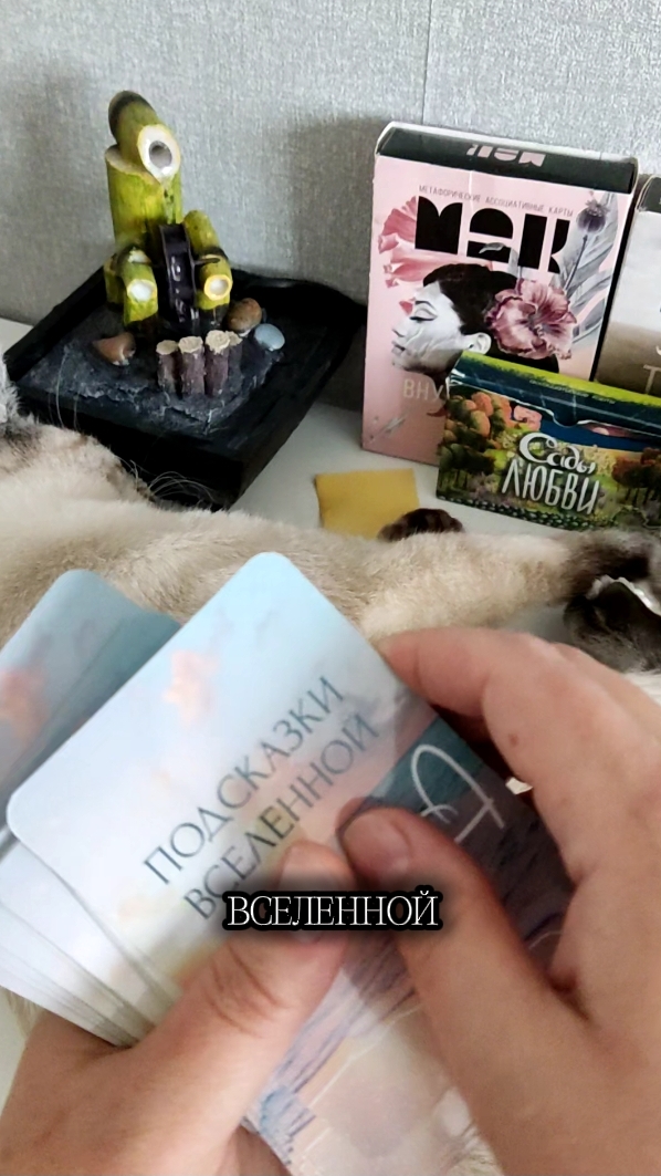 🔮Подсказка от Вселенной на сегодня🔥Подпишись много интересного💛 #вселенная #гороскоп #таро #short