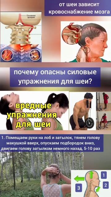 Шея: мягкому вытягиванию и расслаблению мышц атланта - да, перегрузке - нет. Упражнения