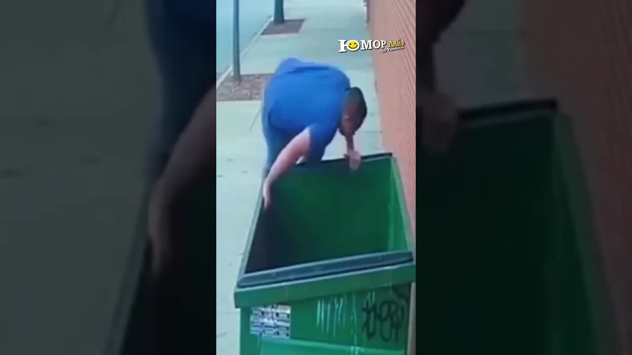 Не перехитрил 😂#юмор #funny