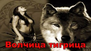 Волчица тигрица