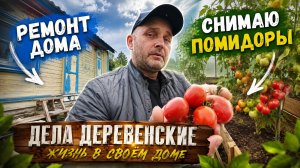 Дела в деревне: ремонт дома, теплица и зелёные помидоры