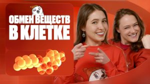 Обмен веществ в клетке | Вспомнить всё | ЕГЭ-2025 с Биологическим Тюленем