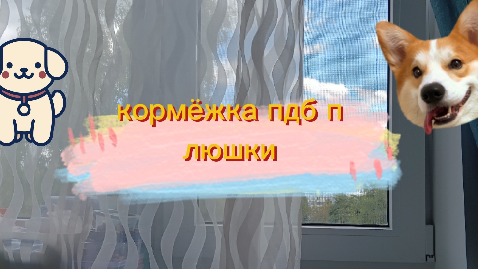 КОРМЁЖКА ПДБ ПЛЮШКИ + новинка 💥💛🪽