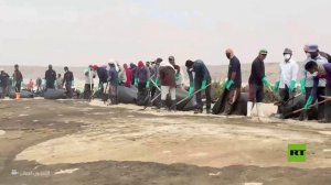 تنظيف شواطئ منطقة رأس مدركة العمانية من التلوث عقب جنوح ناقلة نفط
