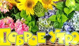ПУСТЬ УТРО БУДЕТ ДОБРЫМ ДЛЯ ВСЕХ И ВСЕГДА