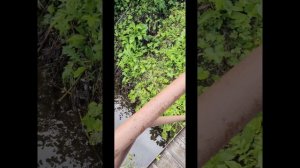 16.08.2026. воскресный влог о путешествии в Христофорову Пустынь